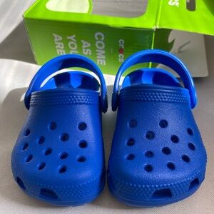 Baby crocs